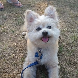 Meet your Posher, Haley